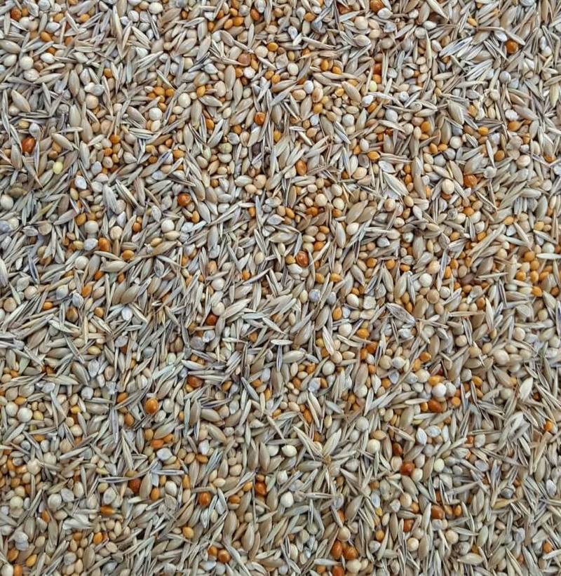 Petits Exotiques - Graines Fines - 5 kg