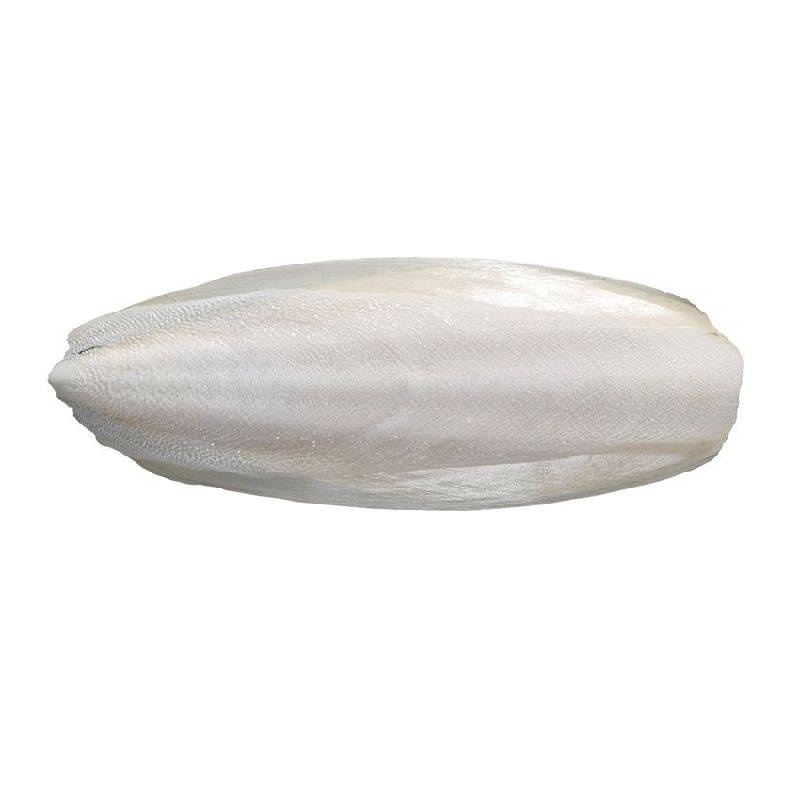 Os de seiche 250 gr