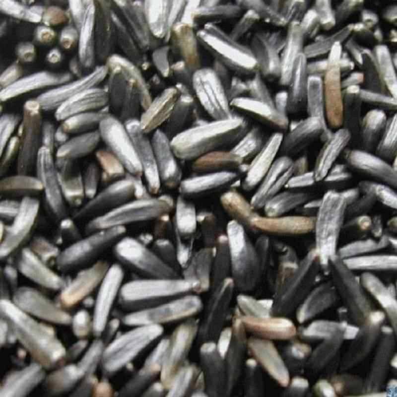Graine de niger 4kg