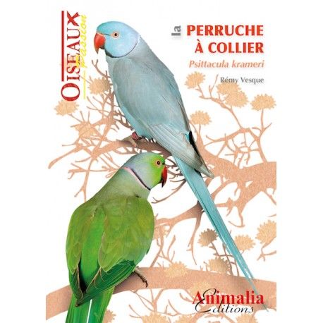 La perruche a collier