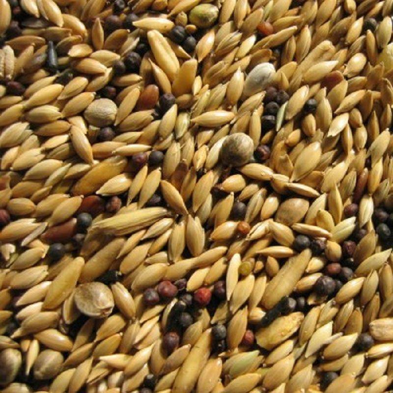 Melange Canaris  4kg