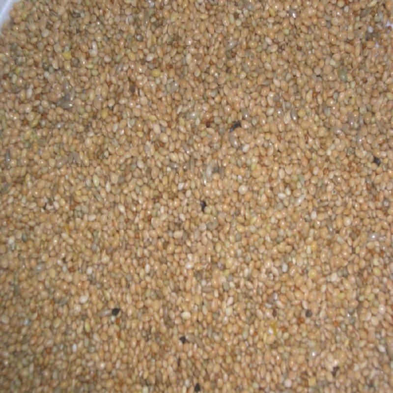 Melange pour exotiques  4 kg